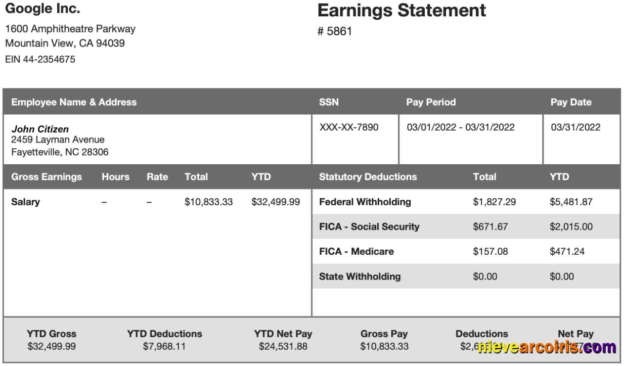 GOOGLE Inc earning statement